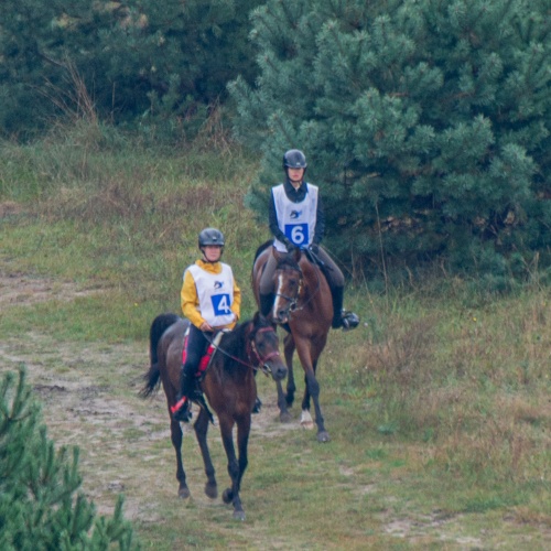 TWO GOLD CUPS AT THE NATIONAL ENDURANCE RIDING COMPETITION